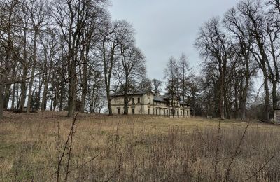 Pałac na sprzedaż Stradzewo, Pałac w Stradzewie, Zachodniopomorskie, Park