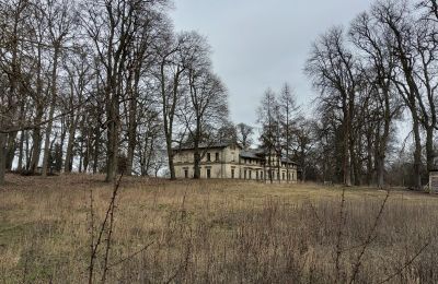 Pałac na sprzedaż Stradzewo, Pałac w Stradzewie, województwo zachodniopomorskie:  