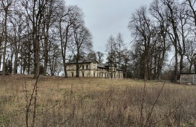 Pałac na sprzedaż Stradzewo, Pałac w Stradzewie, województwo zachodniopomorskie:  