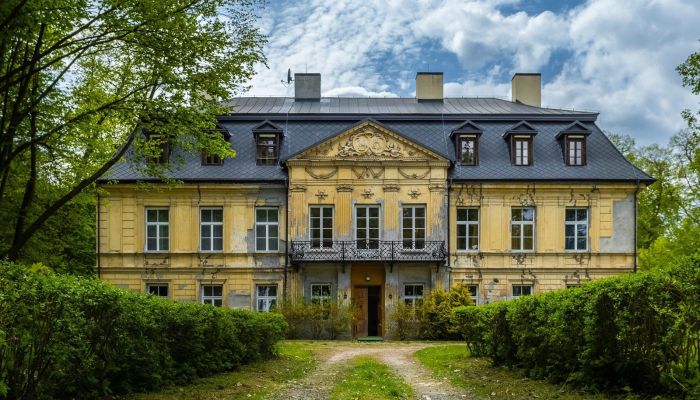 Pałac na sprzedaż Nakło, Śląskie,  Polska