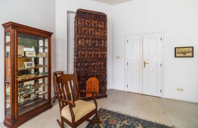 Pałac na sprzedaż Nakło, Śląskie, Detale architektoniczne