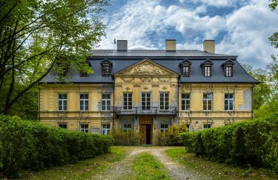 Pałac Nakło, Śląskie