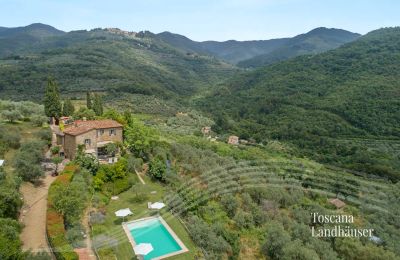 Dom na wsi na sprzedaż Loro Ciuffenna, Toskania:  RIF 3098 BLick auf Anwesen und Umgebung