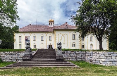 Pałac Szombathely, Komitatz Vas