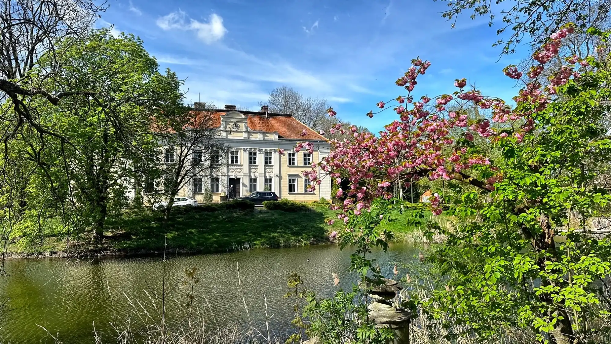 Gola, Wielkopolskie na sprzedaż 
