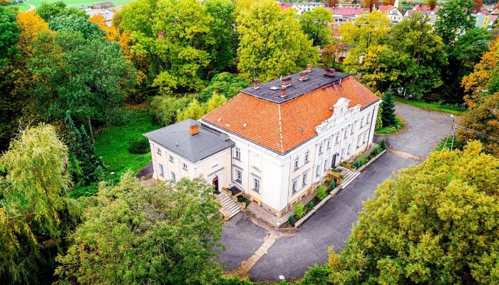 Pałac na sprzedaż Gola, województwo wielkopolskie,  Polska