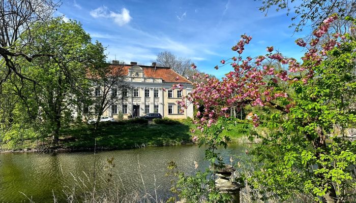 Pałac na sprzedaż Gola, Wielkopolskie