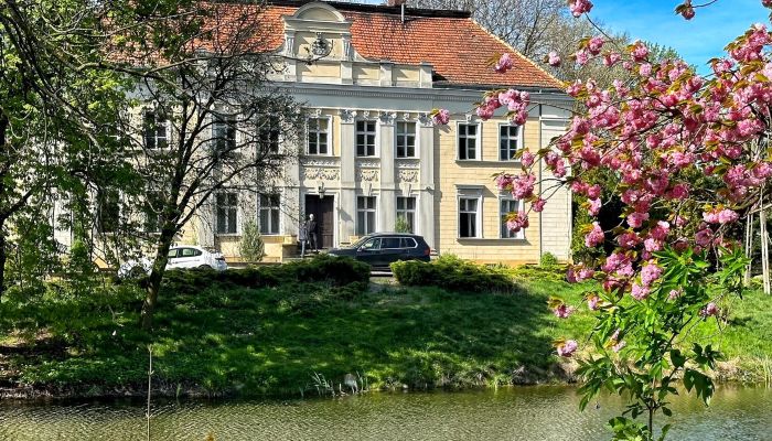 Pałac na sprzedaż Gola, Wielkopolskie,  Polska