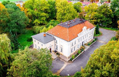 Pałac na sprzedaż Gola, województwo wielkopolskie:  Widok z zewnątrz
