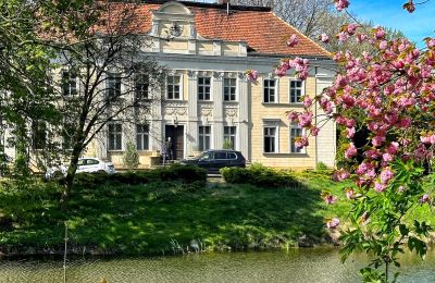 Pałac Gola, Wielkopolskie