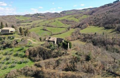 Zamek na sprzedaż 06026 Pietralunga, Umbria, Zdjęcie 6/11