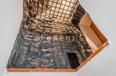 Zamek na sprzedaż Třebotov, Třebotov tvrz, Středočeský kraj, Zdjęcie 22/36