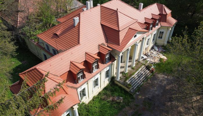 Pałac na sprzedaż Skoraszewice, Wielkopolskie,  Polska