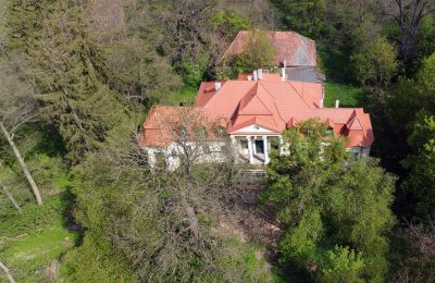 Pałac na sprzedaż Skoraszewice, Skoraszewice  16, Wielkopolskie, Zdjęcie Drona