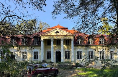 Pałac na sprzedaż Skoraszewice, Skoraszewice  16, Wielkopolskie, Widok z przodu