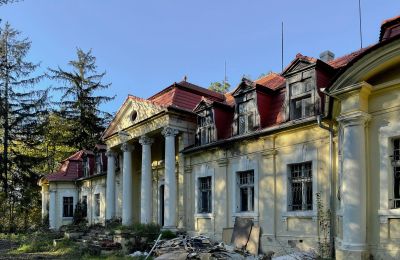 Pałac na sprzedaż Skoraszewice, Skoraszewice  16, województwo wielkopolskie:  