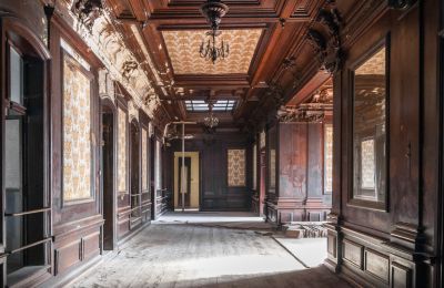 Pałac na sprzedaż Bożków, Palac Wilelma von Magnis 1, Dolnośląskie, Zdjęcie 7/10