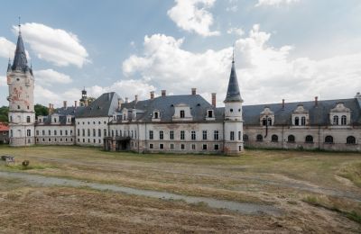 Pałac na sprzedaż Bożków, Palac Wilelma von Magnis 1, województwo dolnośląskie:  Widok z zewnątrz