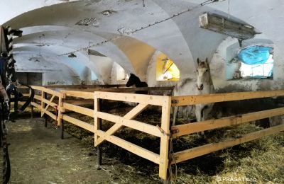Pałac na sprzedaż Karlovarský kraj, Oficyna