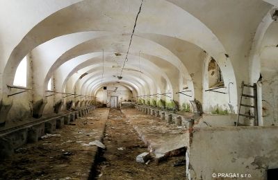Pałac na sprzedaż Karlovarský kraj, Zdjęcie 10/16