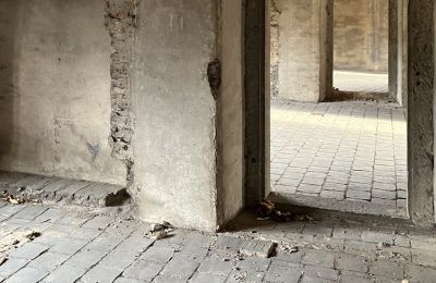 Pałac na sprzedaż Štětí, Ústecký kraj, Widok wnętrza