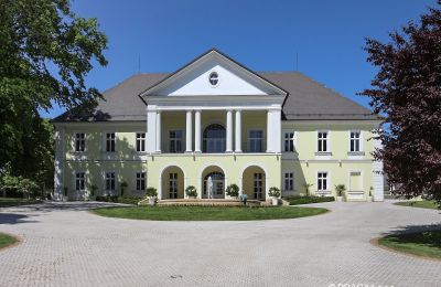 Pałac na sprzedaż Hlavní město Praha, Widok z przodu