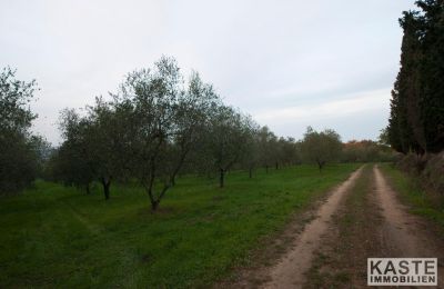 Klasztor na sprzedaż Peccioli, Toskania, Zdjęcie 14/28