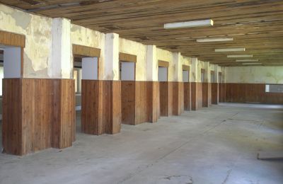 Dwór na sprzedaż Kraj nitrzański, Zdjęcie 7/19
