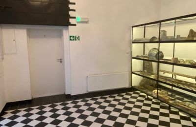Apartament w zabytku na sprzedaż Lubiechowo, Pałac w Lubiechowie, Zachodniopomorskie, Hol wejściowy 