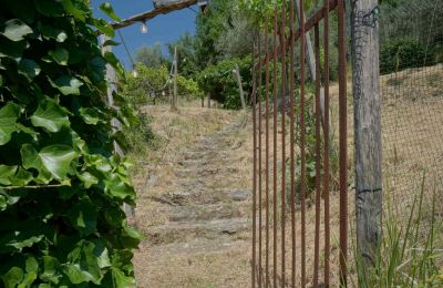Dom wiejski na sprzedaż 06060 Lisciano Niccone, Umbria:  