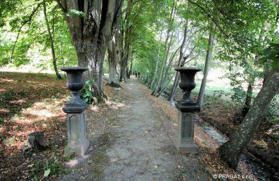 Pałac na sprzedaż Jihočeský kraj, Park