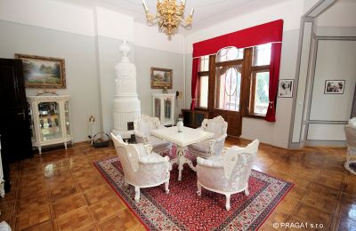 Pałac na sprzedaż Jihočeský kraj, Zdjęcie 6/21
