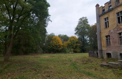 Pałac na sprzedaż Dobrowo, Zachodniopomorskie, Park