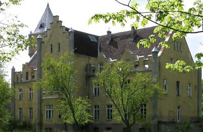 Pałac na sprzedaż Dobrowo, Zachodniopomorskie, Widok z tyłu