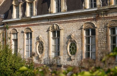 Pałac na sprzedaż Louviers, Normandia:  Detale architektoniczne