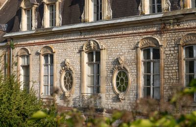 Pałac na sprzedaż Louviers, Normandia, Detale architektoniczne