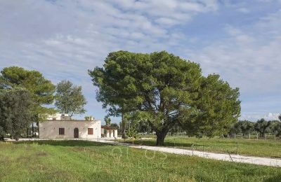 Dom na wsi na sprzedaż Francavilla Fontana, Apulia:  Widok z zewnątrz