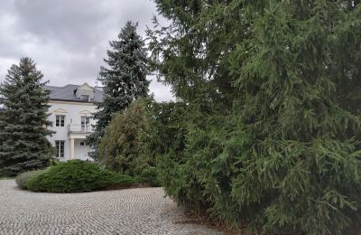 Dwór na sprzedaż Zarębów, Dwór w Zarębowie, Łódzkie, Zdjęcie 19/22