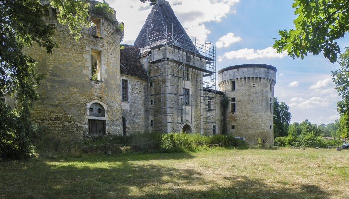 Zamek na sprzedaż Périgueux, Nouvelle-Aquitaine,  Francja