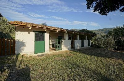 Zabytkowa willa na sprzedaż Castiglion Fiorentino, Toskania, Zdjęcie 44/45