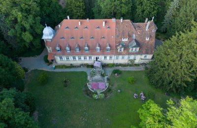 Pałac na sprzedaż Badenia-Wirtembergia:  Vogelperspektive