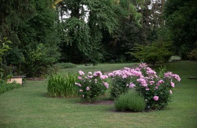 Pałac na sprzedaż Badenia-Wirtembergia, Park