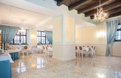 Dwór na sprzedaż Sędzisław, Dwór w Sędzisławiu, Dolnośląskie, Sala balowa