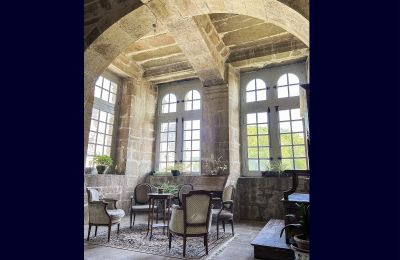 Pałac na sprzedaż Le Mans, Kraj Loary, Detale architektoniczne