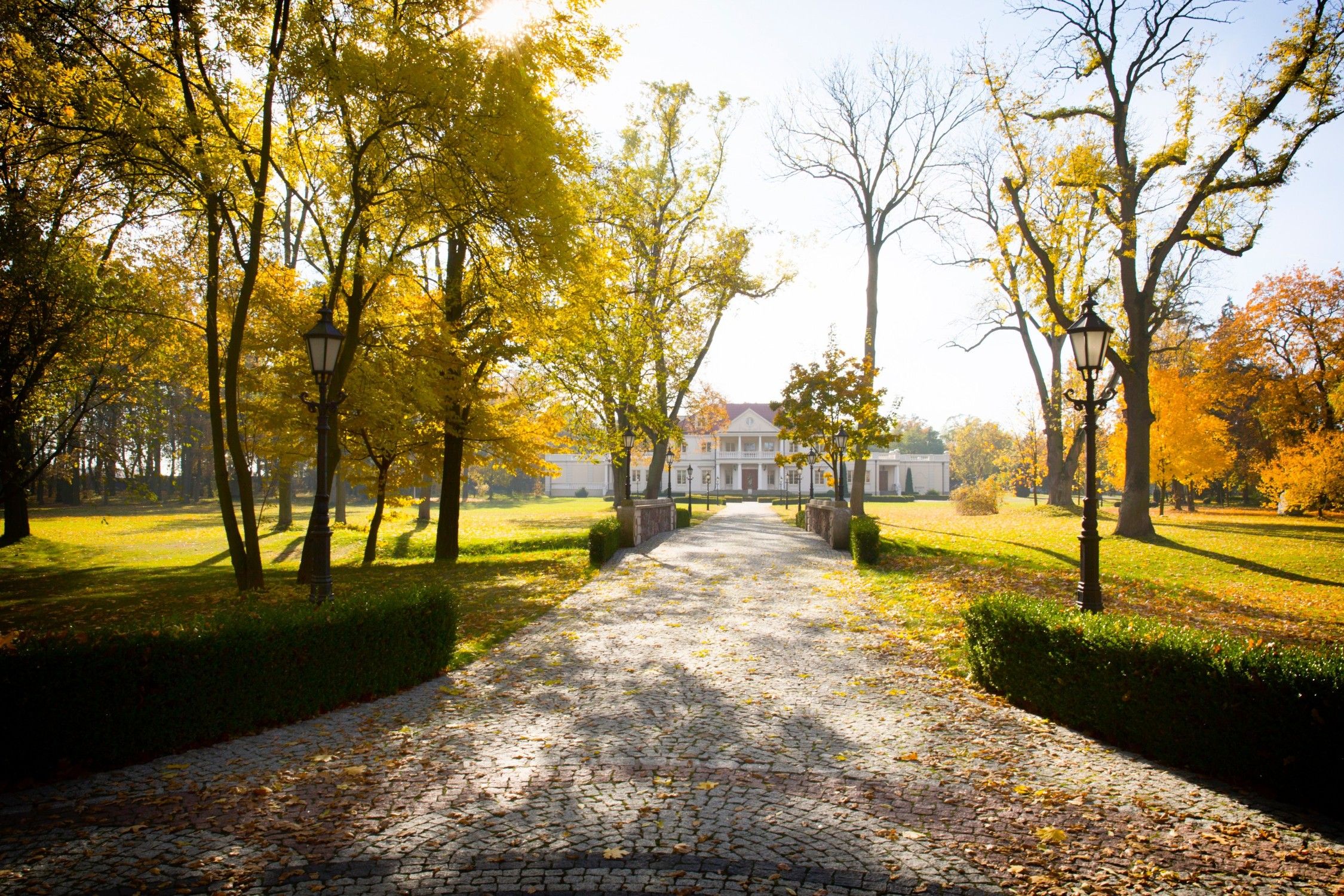 Zborów, Wielkopolskie na sprzedaż 