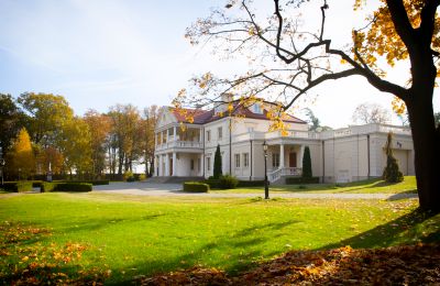 Dwór na sprzedaż Zborów, Kownackiej 33, Wielkopolskie, Widok z boku