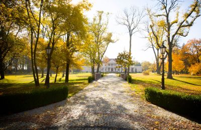 Dwór na sprzedaż Zborów, Kownackiej 33, Wielkopolskie, Wjazd