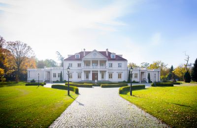 Dwór na sprzedaż Zborów, Kownackiej 33, Wielkopolskie, Widok z przodu