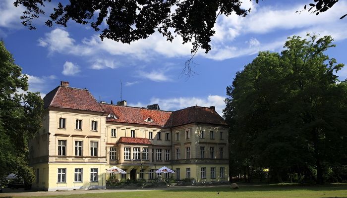 Pałac Wojnowice 1