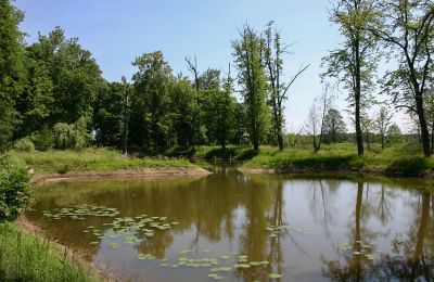 Pałac na sprzedaż Radoszewnica, Śląskie, Jezioro/staw